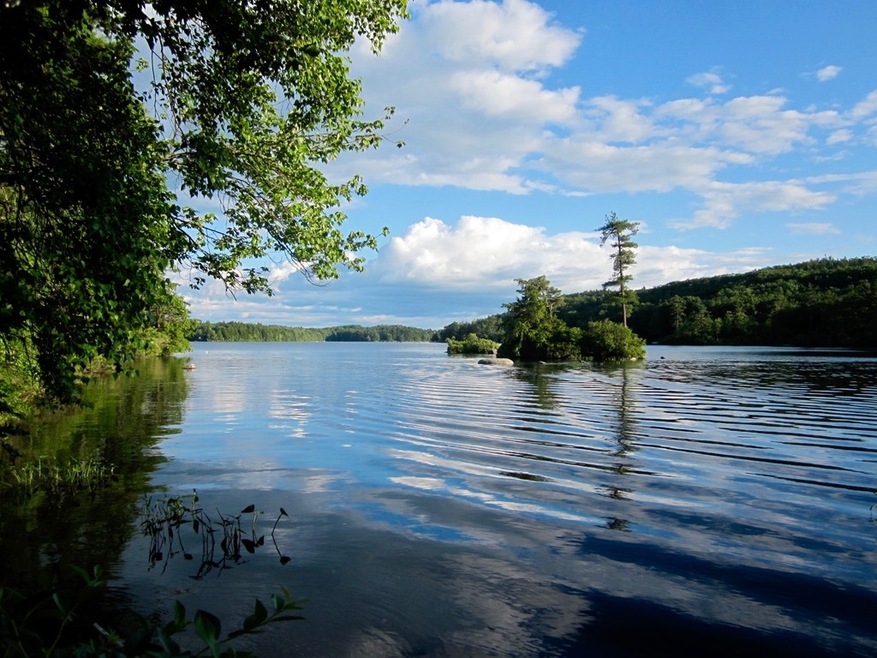 15 Old Barre Rd, Phillipston, MA 01331 - photo 1