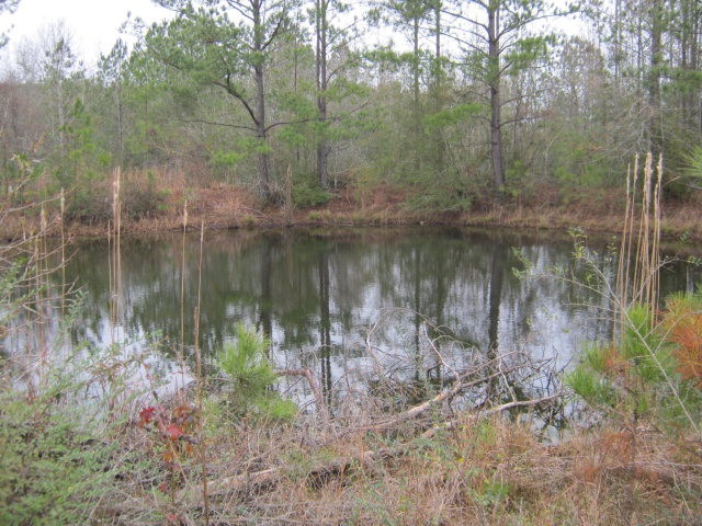 000 W Topisaw N, Ruth, MS 39662 - photo 1
