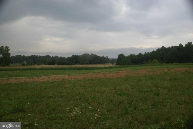 26275 Orange Springs Dr, Madison Mills, VA 22960 - photo 1