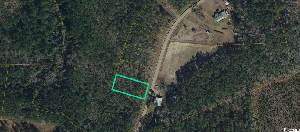 Lot 1 Mcnabb Rd, Loris, SC 29569 - photo 1