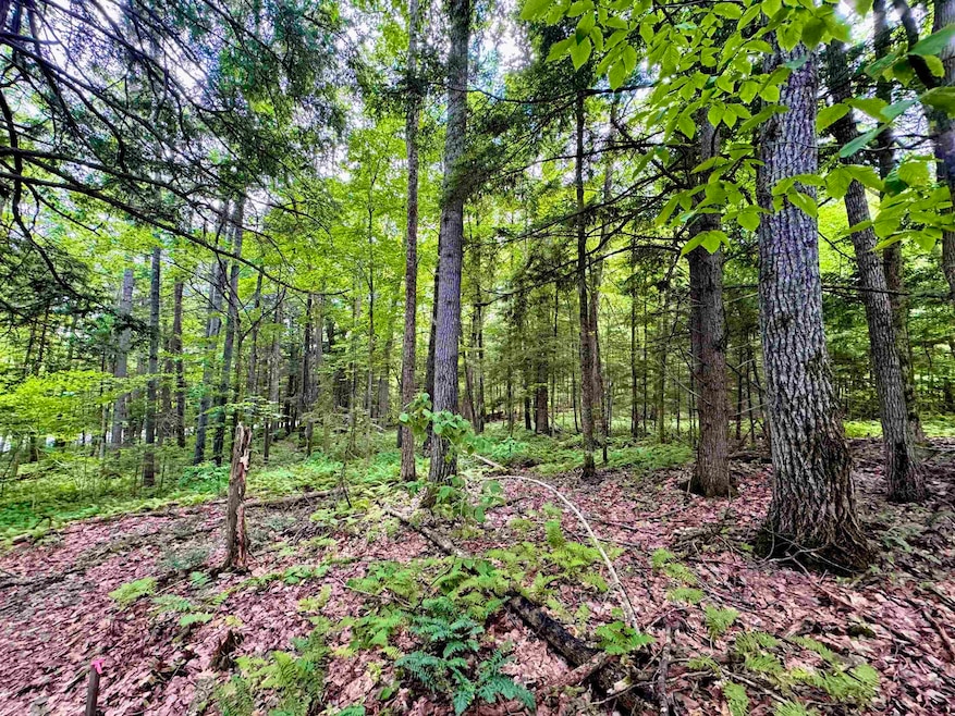 For Sale $38,500 • Co-Listing Agent