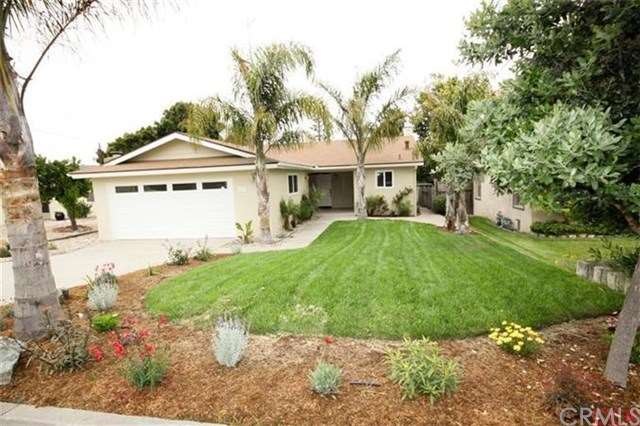 Newly landscaped front yard with mature palm trees