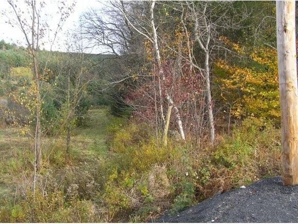 0 Twenty Mile Stream Rd unit 4033772, Cavendish, VT 05142 - photo 1