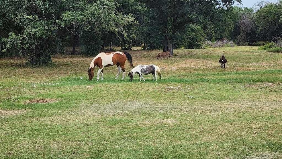 4801 Agnes Cir, Springtown, TX 76082 - photo 1