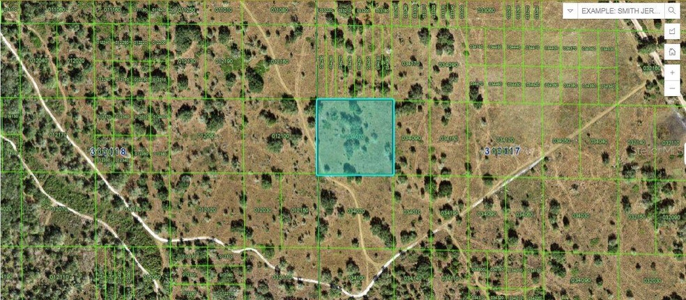 0 River Ranch Blvd unit MFRO6267166, Lake Wales, FL 33898 - photo 1