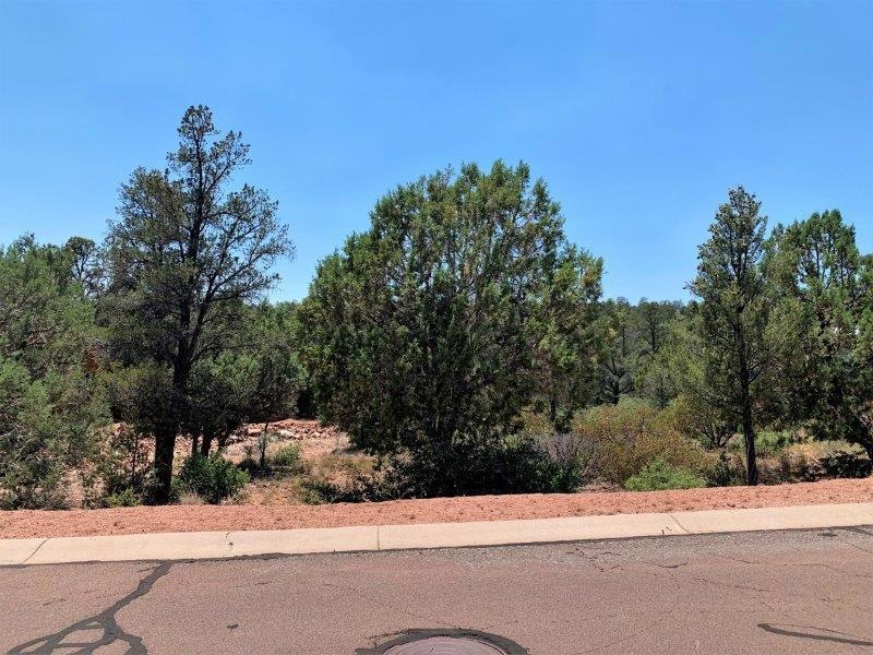 802 N Thunder Ridge Circle (1)