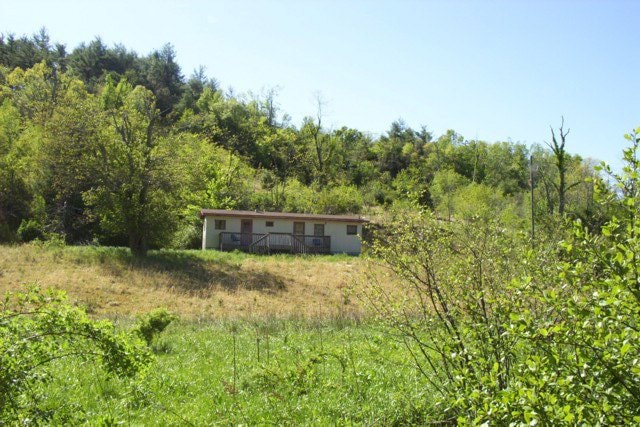 Main View