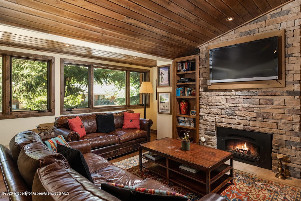 718 S Mill St unit 4, Aspen, CO 81611 - photo 1