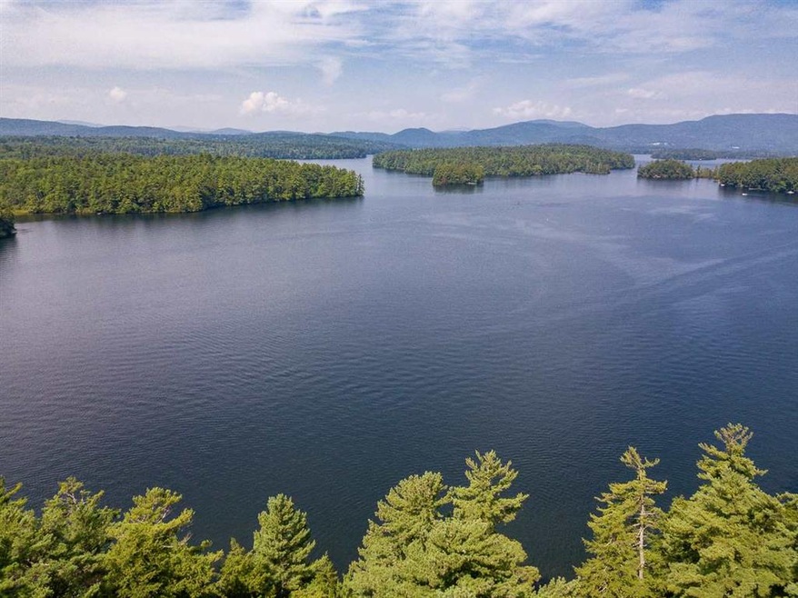 00 Newman, Center Harbor, NH 03226 - photo 1