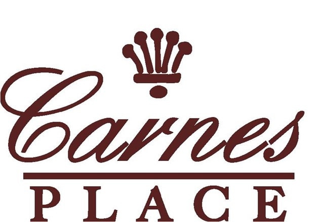 2207 Clayton Ln, Augusta, GA 30904 - photo 1