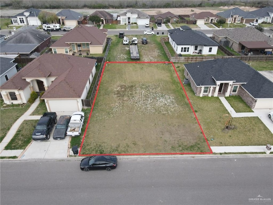 View of bird's eye view