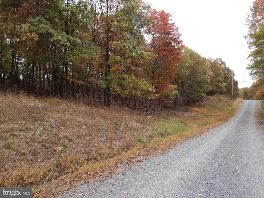 29A Holly Hill Ln, Berkeley Springs, WV 25411 - photo 1