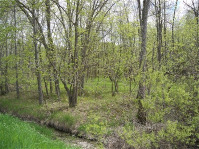 0 26th St unit 1610056, Camp Douglas, WI 54618 - photo 1