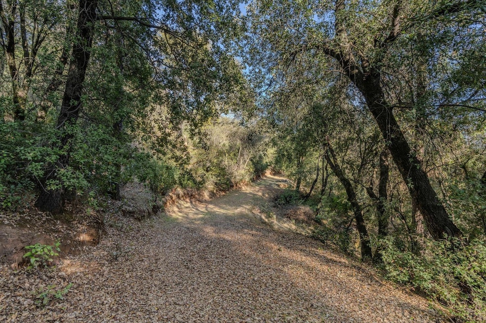 14238 Sutter Highlands Dr, Sutter Creek, CA 95685 - photo 1