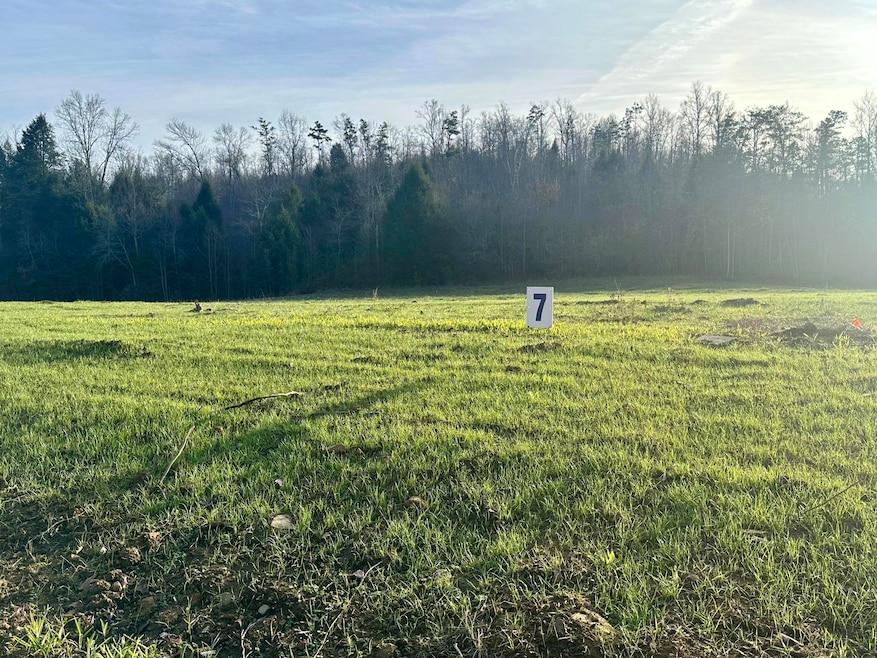 Lot 7 Hensley Rd, East Bernstadt, KY 40729 - photo 1