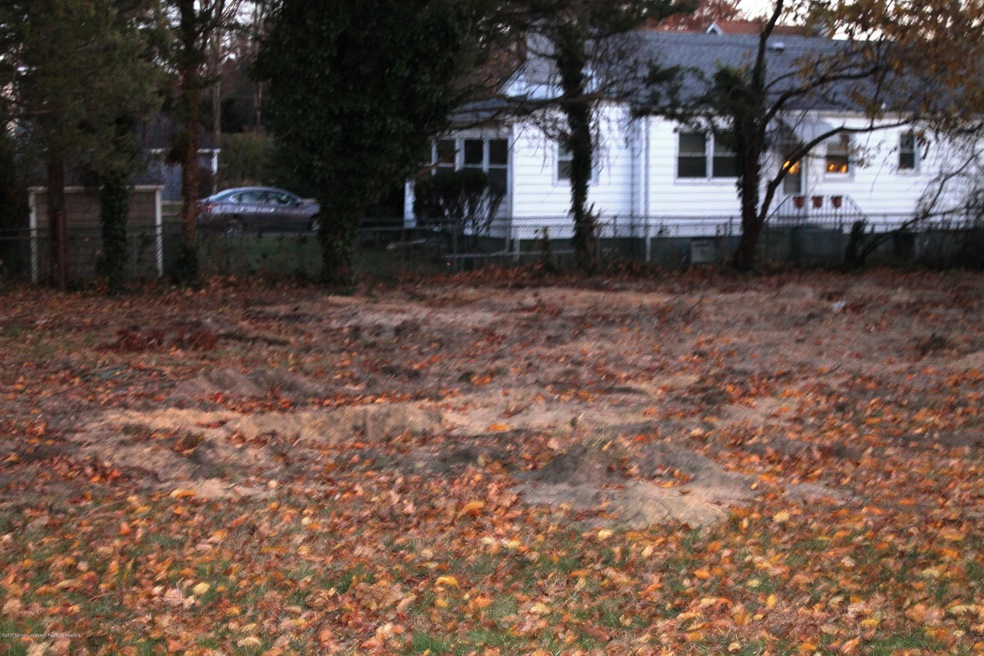 Raw Land