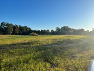 00 Peterson Ave unit Tract A -B, Douglas, GA 31533 - photo 1