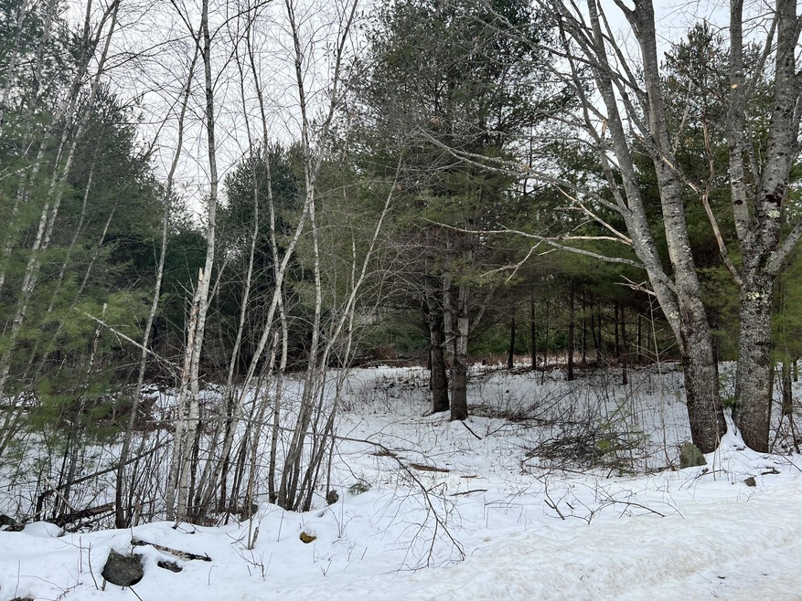 M15L4 Spring Rd, Newfield, ME 04095 - photo 1