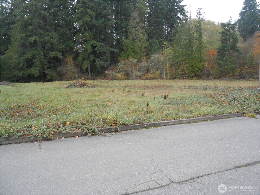 0 7th Ave NE unit NWM2459196, Poulsbo, WA 98370 - photo 1