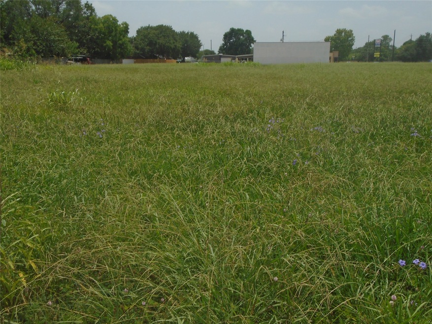 1821 Louise St, Rosenberg, TX 77471 - photo 1