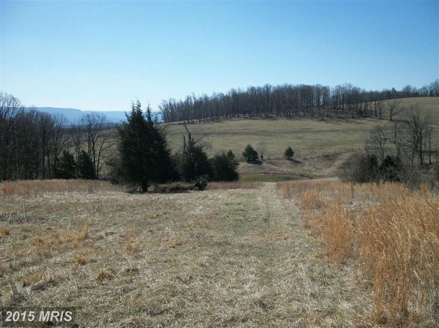 0 Cave Ridge Rd unit 1002898426, Mount Jackson, VA 22842 - photo 1