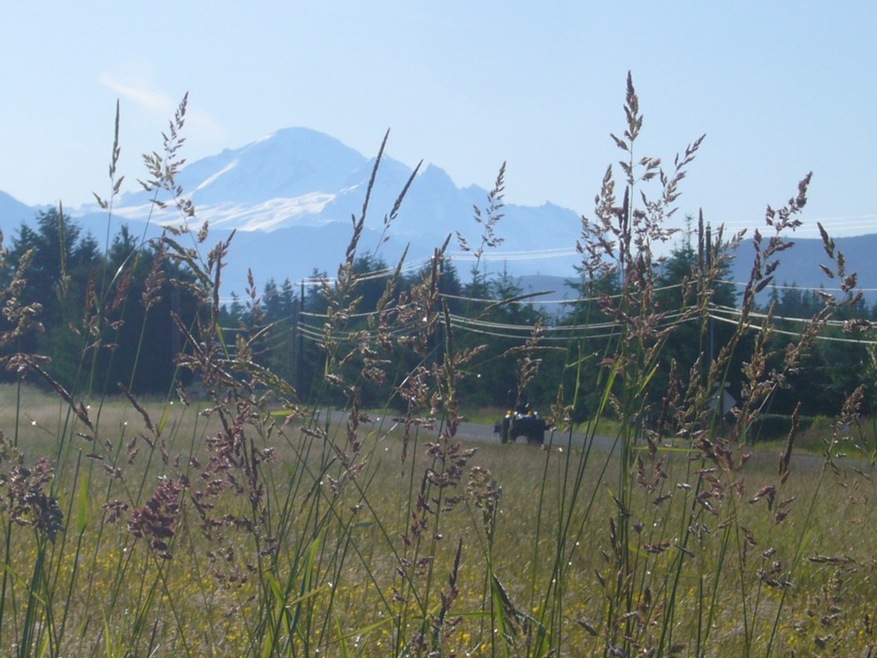 5327 Starry Rd, Bellingham, WA 98226 - photo 1