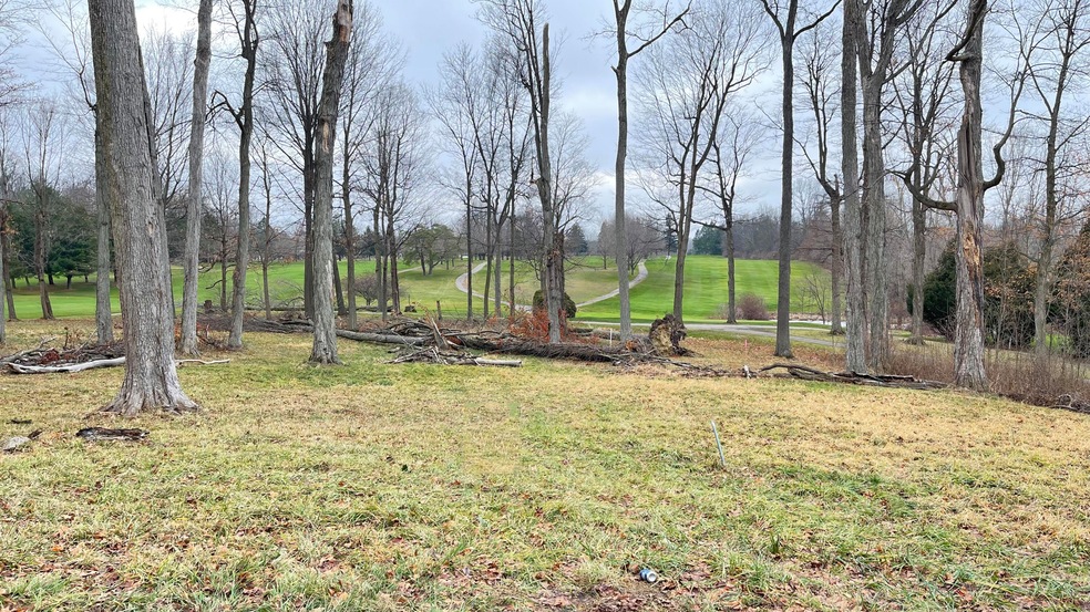 View of Lot