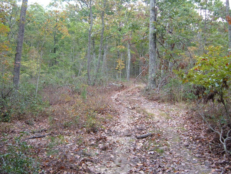 Mountain Road
