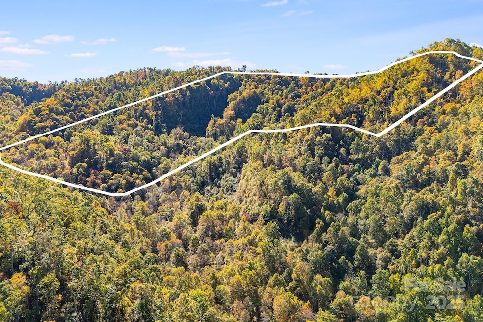 000 Hamburg Rd unit 49, Mars Hill, NC 28754 - photo 1