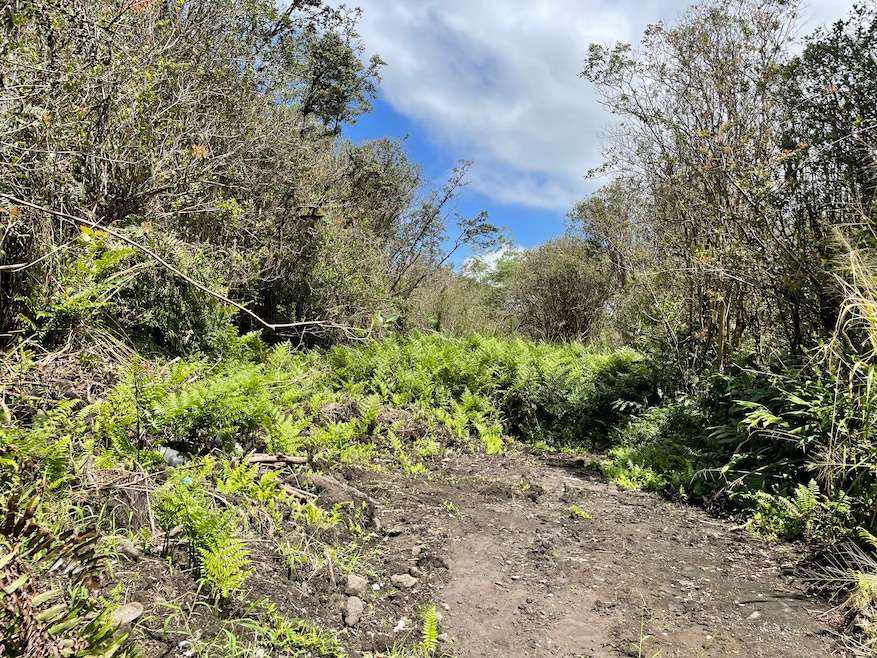 16-1153-A Uhini Ana Rd, Kurtistown, HI 96760 - photo 1