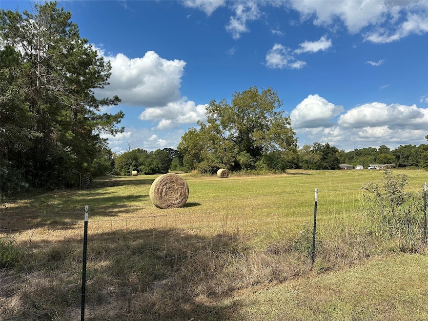 11 ac W Danville Rd, Willis, TX 77378 - photo 1