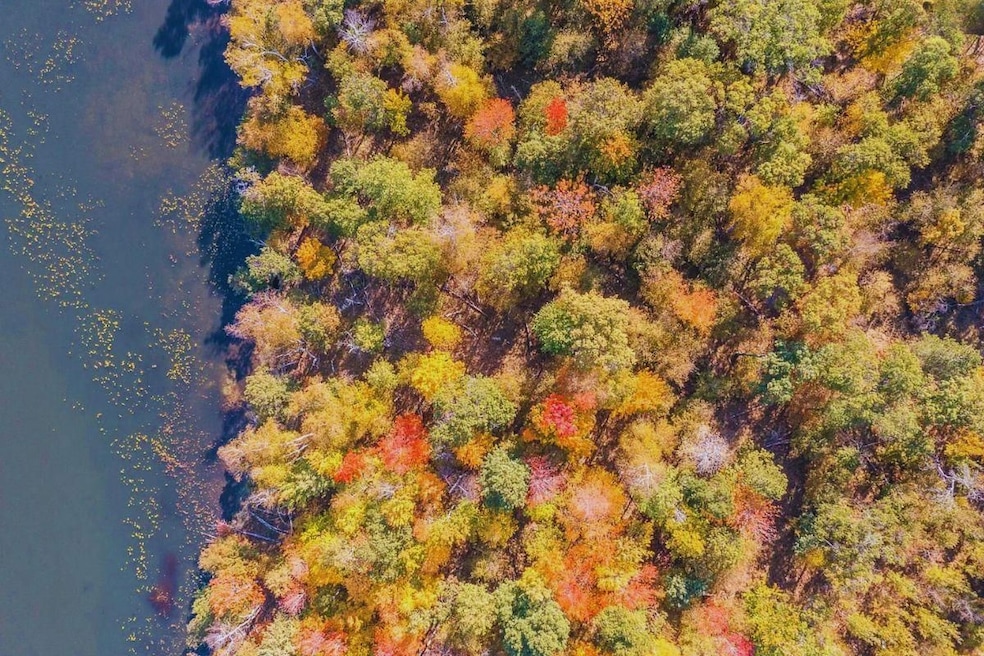 0 Flinstone Dr, Cushing, MN 56443 - photo 1