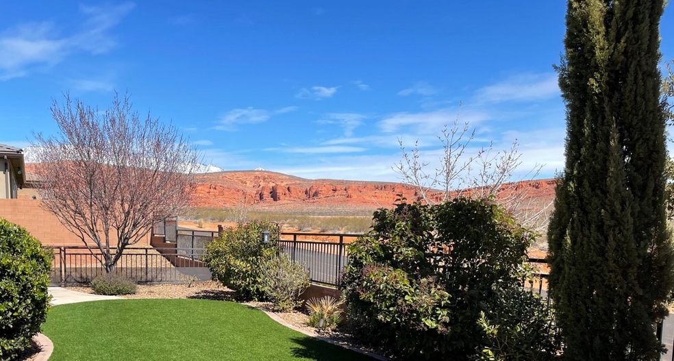 01 Backyard Views
