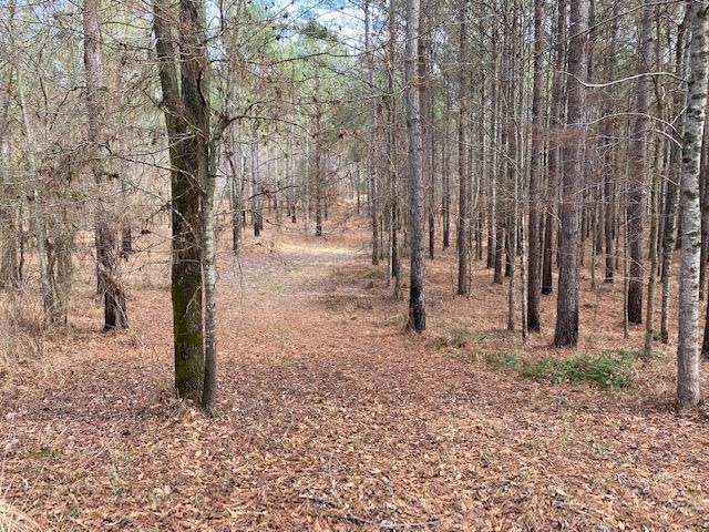 TBD Cr 411, Oxford, MS 38655 - photo 1