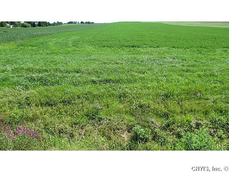 Land/Lot.