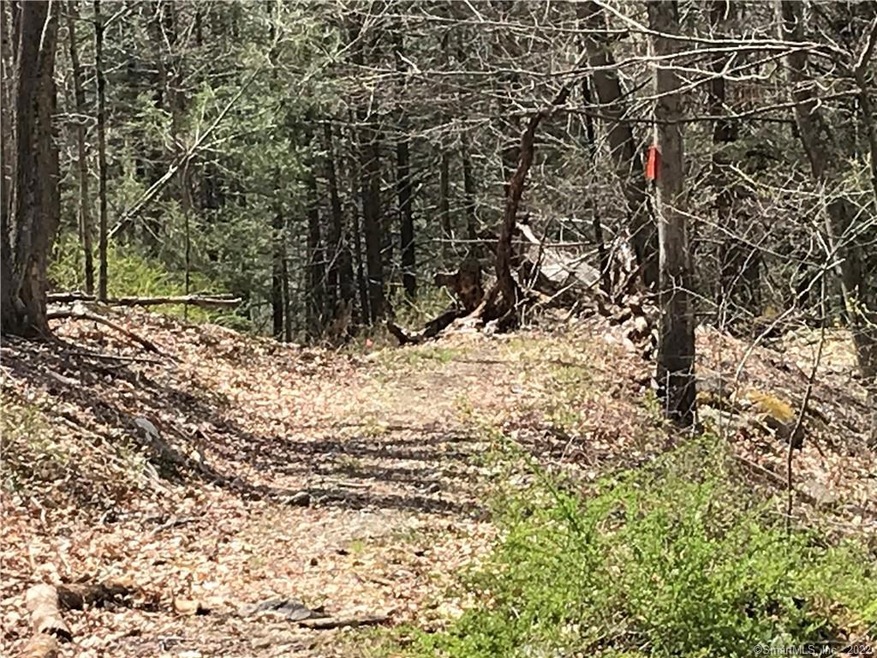 74 Chalybes Rd W, Roxbury, CT 06783 - photo 1