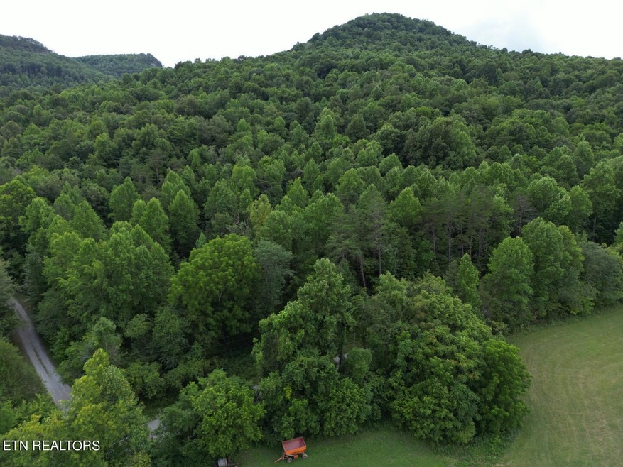 DJI_0335 (Large)