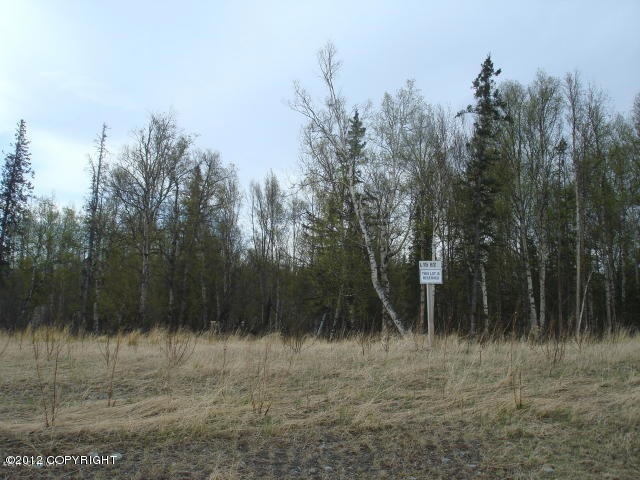 Lot View