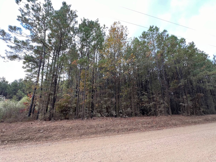 0 Sportsmans Paradise Rd, Many, LA 71449 - photo 1