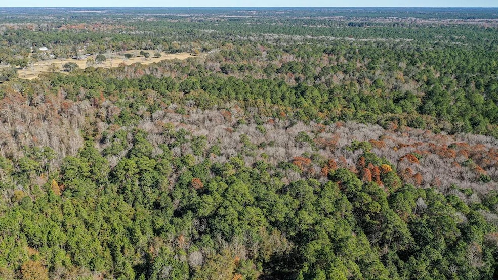 0 Dap Rd E, Big Point, MS 39562 - photo 1