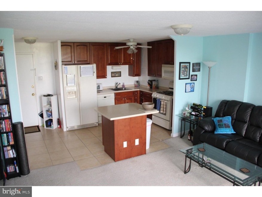 Radnor House unit 213, Bryn Mawr, PA 19010 - photo 1