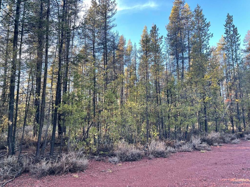 1.06 Acres Mt. Scott Meadow