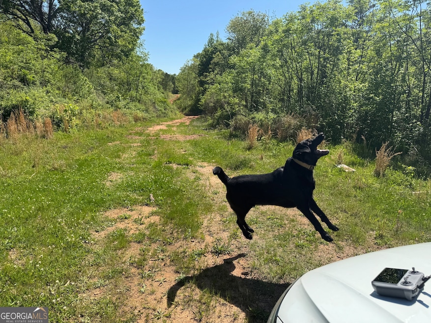 0 Us 53 Hwy unit 10376334, Bogart, GA 30622 - photo 1