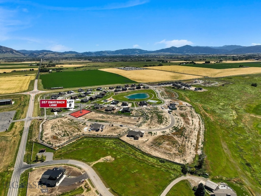 Bird's eye view featuring a mountain view and a ru