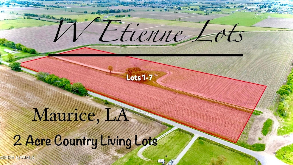Tbd Lot 6 W Etienne Rd, Maurice, LA 70555 - photo 1