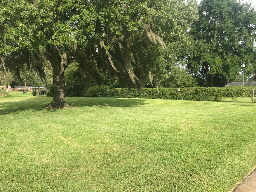 0 Trinidad Rd unit 1013868, Jacksonville, FL 32216 - photo 1