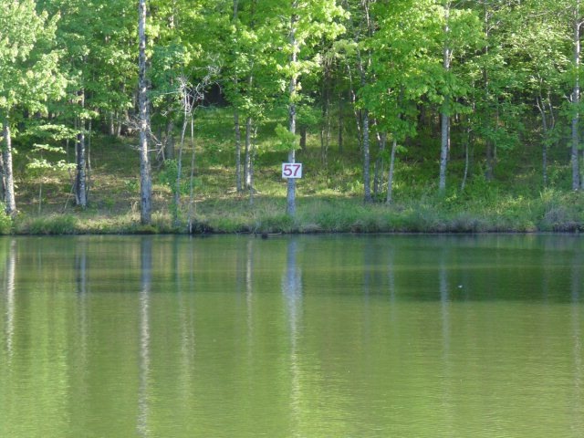 6007 Keavy Dr, Oxford, MS 38655 - photo 1