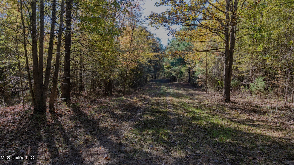16098 Emory Rd, West, MS 39192 - photo 1