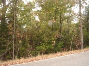 3 Whiterock Ln, Kimberling City, MO 65686 - photo 1