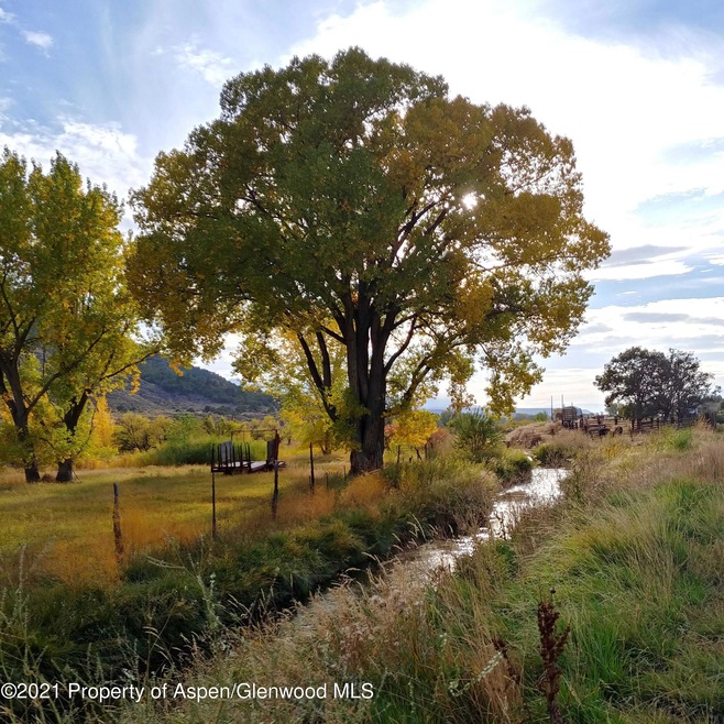 Fall photo Laidlaw